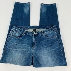 Lane Bryant Jeans Womens Plus Size 18 Blue Casual